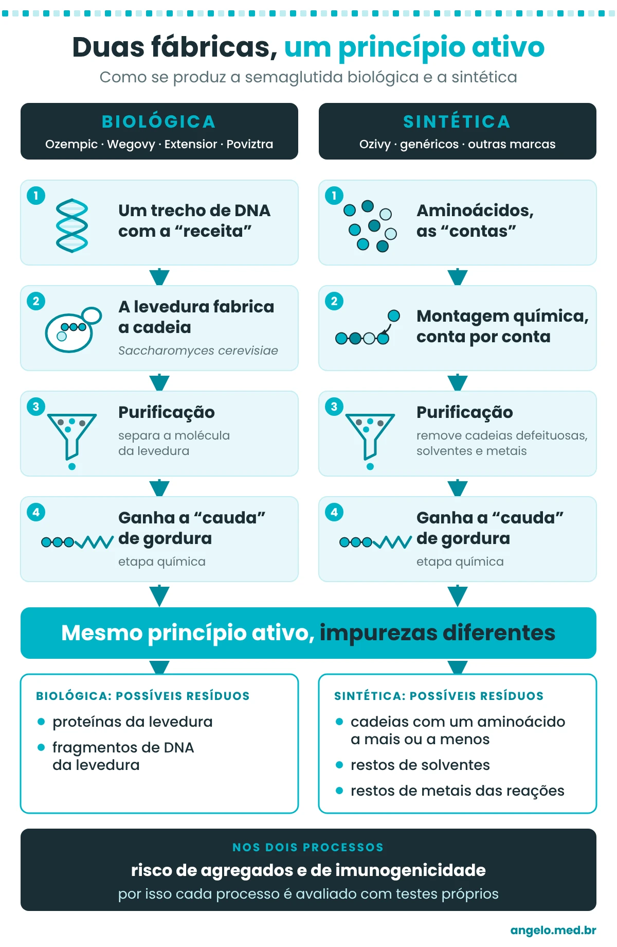Esquema comparando a fabricação da semaglutida biológica, em que uma levedura produz a cadeia a partir de um trecho de DNA, e da sintética, montada quimicamente aminoácido por aminoácido. As duas chegam ao mesmo princípio ativo, mas com possíveis resíduos diferentes: proteínas e DNA da levedura na biológica; cadeias defeituosas, solventes e metais na sintética. Nas duas há risco de agregados e de imunogenicidade.